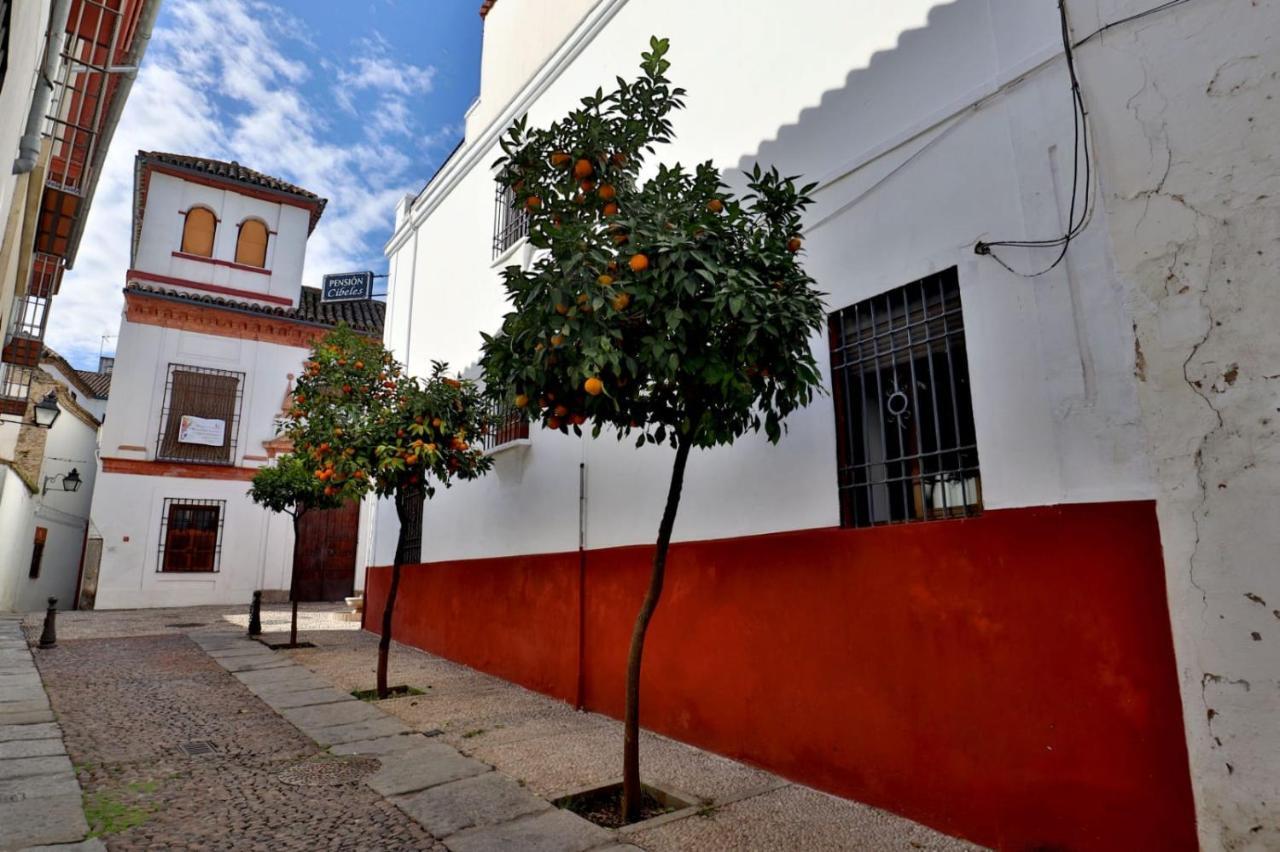 Pension Cibeles Córdoba Exteriör bild